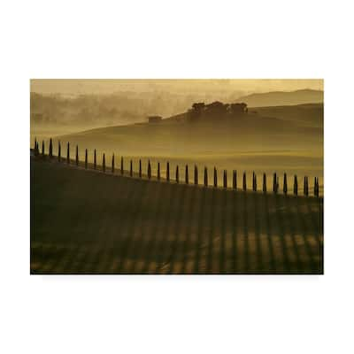 Jarek Pawlak 'Cypress Shadows' Canvas Art