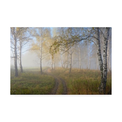 Sergey Romanchuk 'Autumn Mood' Canvas Art