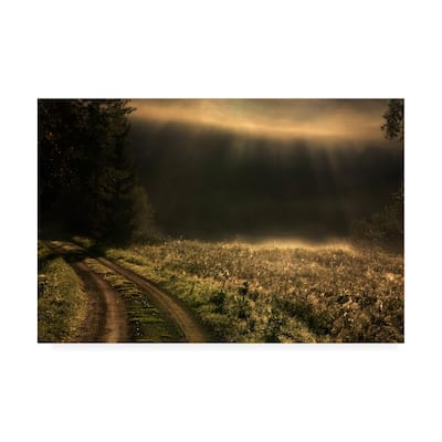 Allan Wallberg 'Fogy Morning' Canvas Art