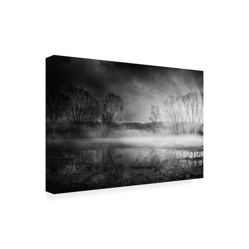 Stanislav Hricko 'Midnight Fog' Canvas Art