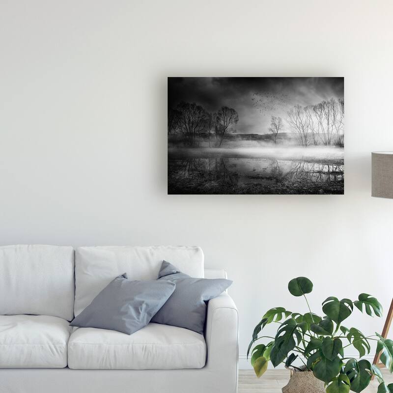 Stanislav Hricko 'Midnight Fog' Canvas Art