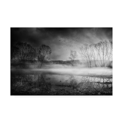 Stanislav Hricko 'Midnight Fog' Canvas Art