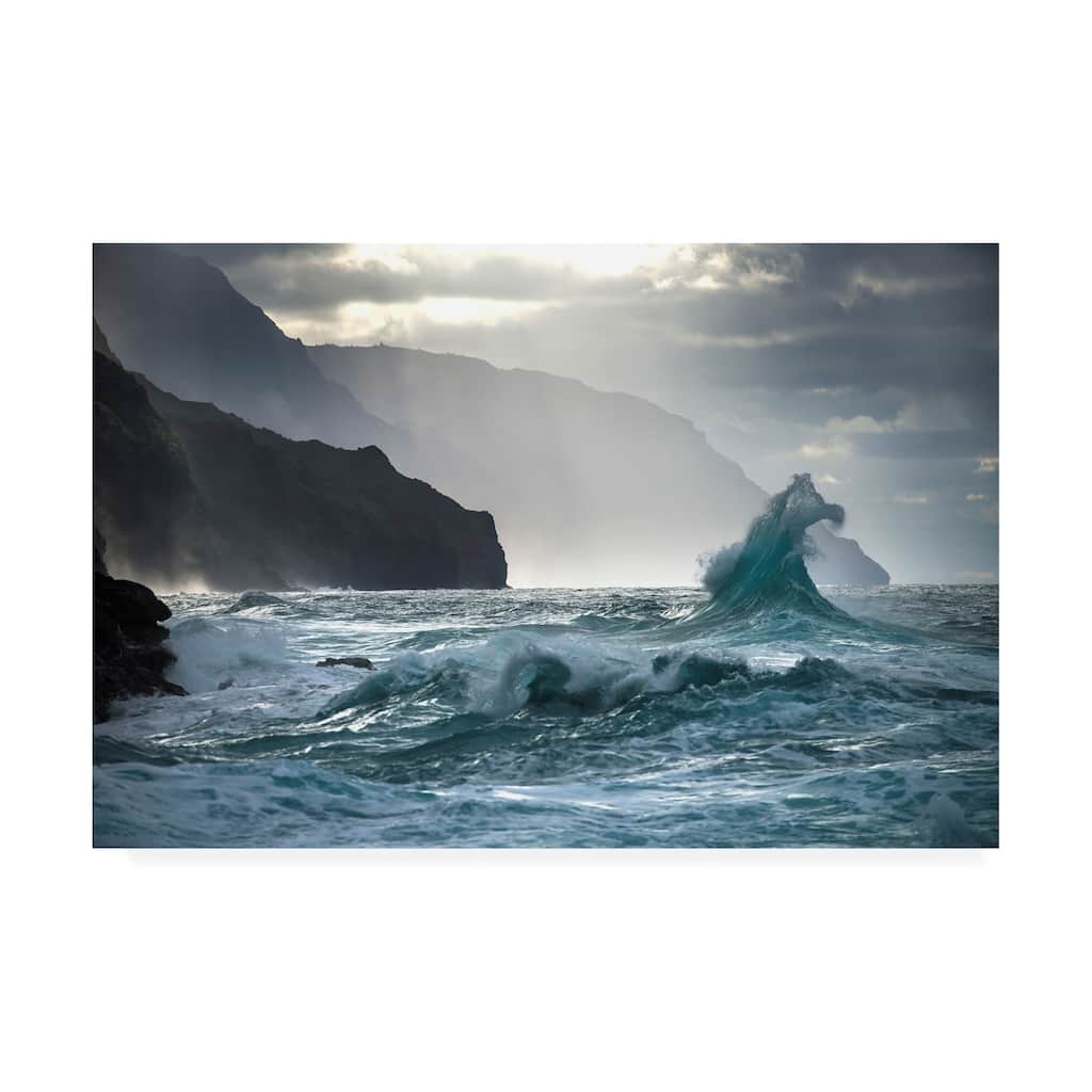 Ali Rismanchi 'Crashing Coastal Waves' Canvas Art
