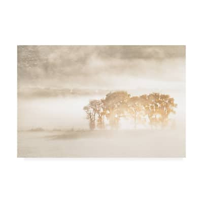 John Fan 'Autumn Dreams White Fog' Canvas Art