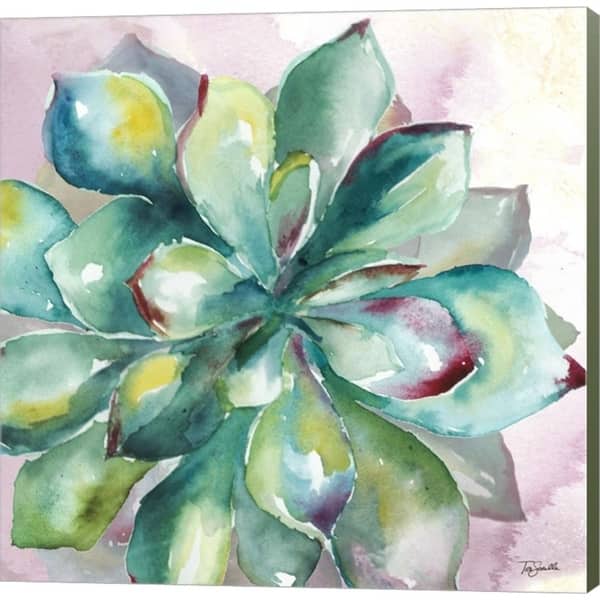 Shop Tre Sorelle Studios Succulent Watercolor I Canvas Art On