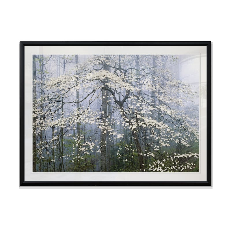 Jones _ Dogwood Canopy-Framed Giclee Print