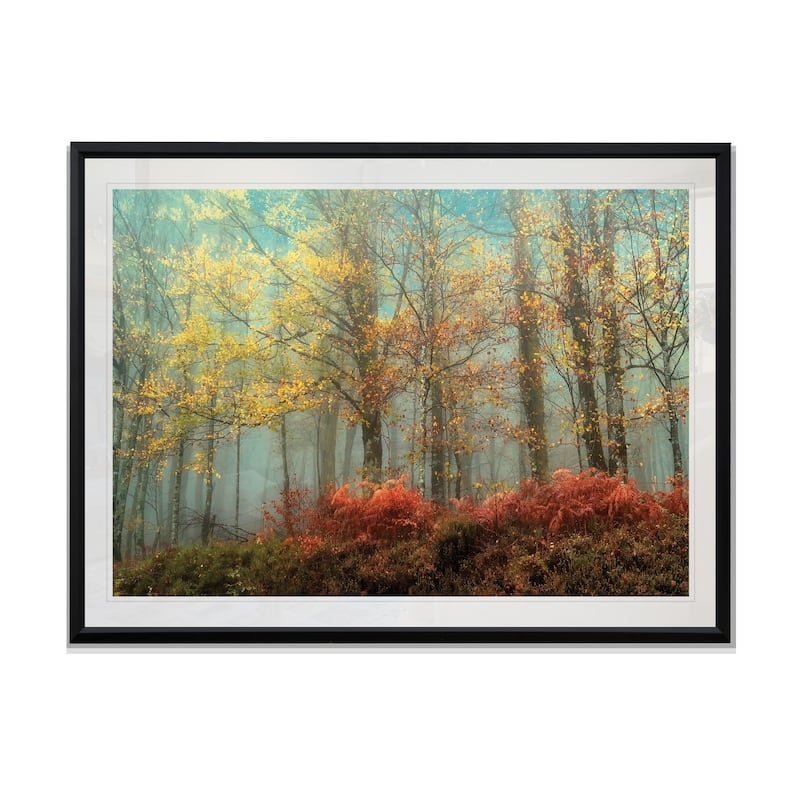 Beeches In The Mist-Framed Giclee Print