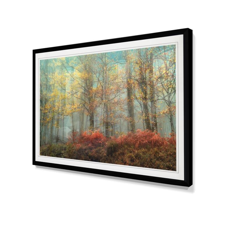 Beeches In The Mist-Framed Giclee Print