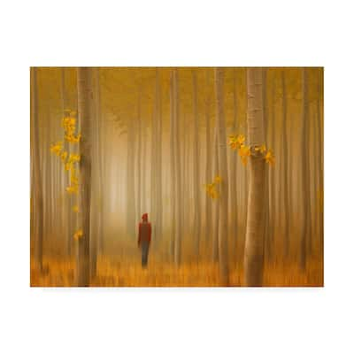 Lydia Jacobs 'Lost In Autumn' Canvas Art