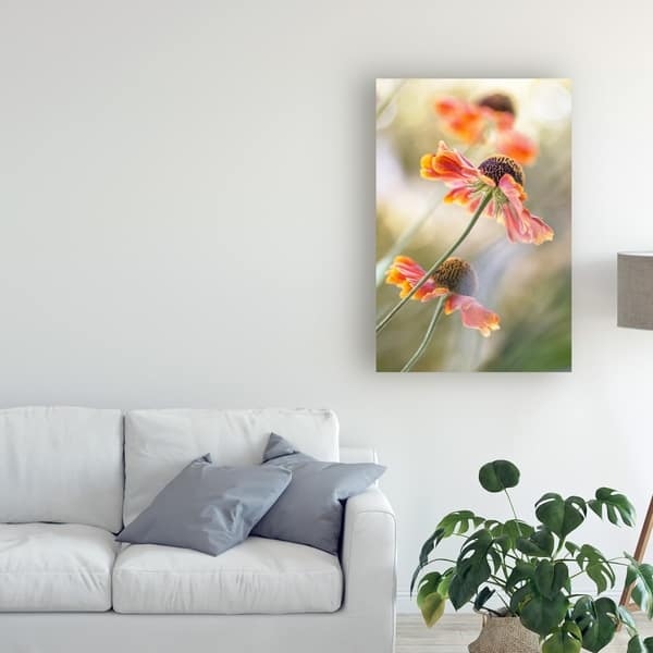 Mandy Disher Helenium Pink Flowers Canvas Art Overstock 25641243