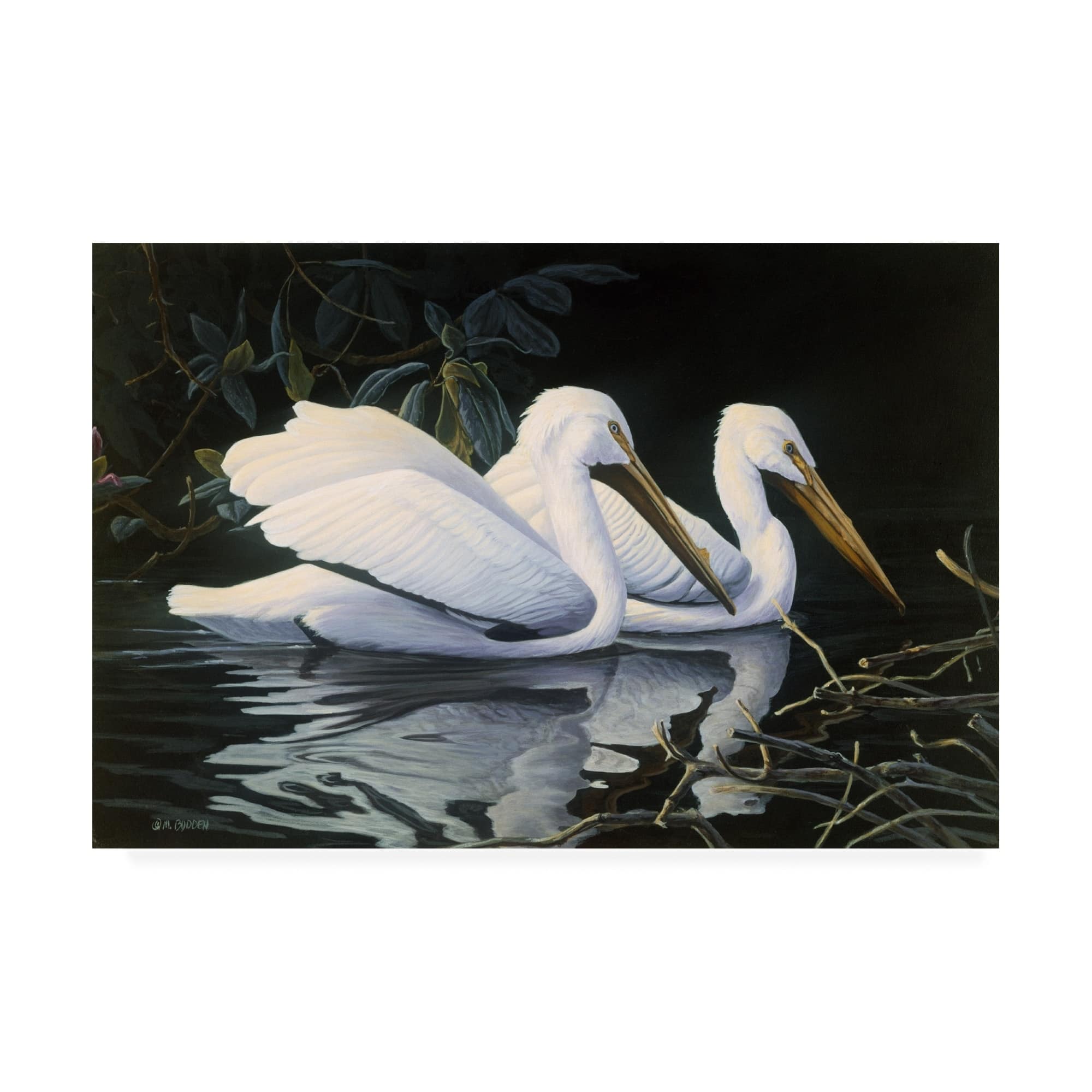 Michael Budden 'pelicans Swimming' Canvas Art - On Sale - Bed Bath 