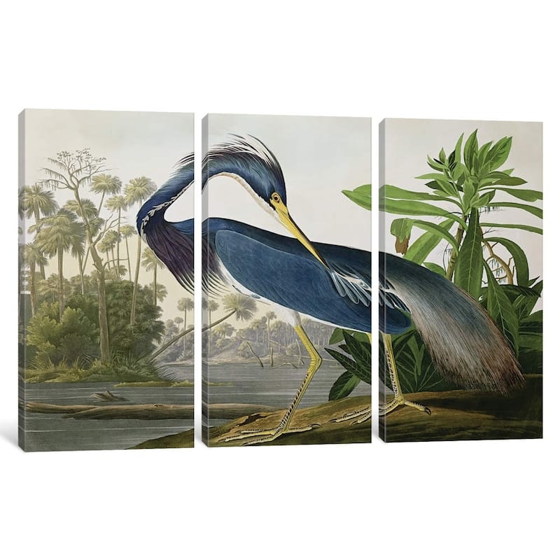iCanvas "Louisiana Heron" by John James Audubon
