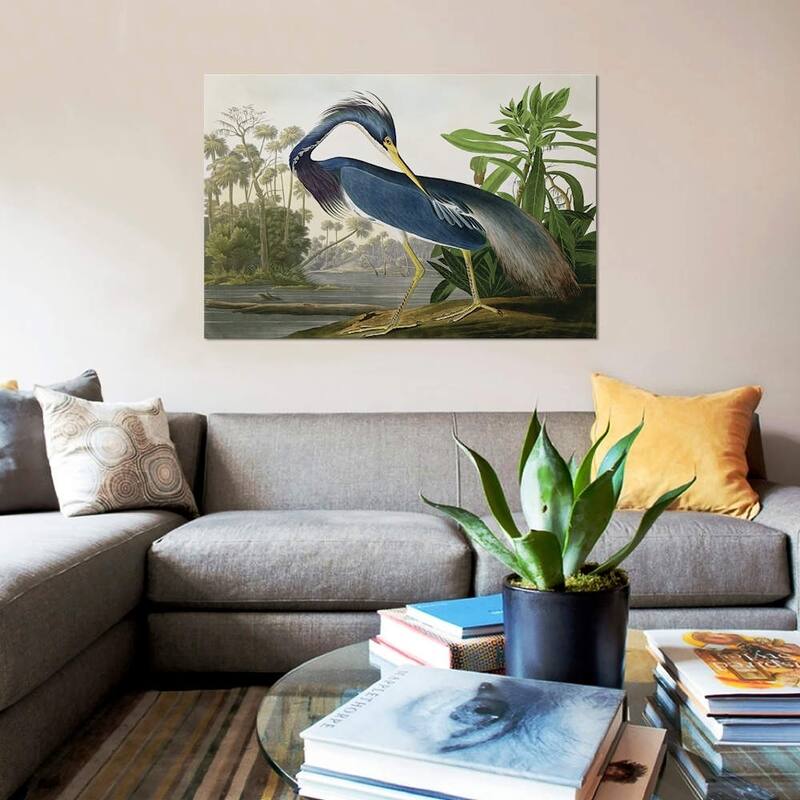 iCanvas "Louisiana Heron" by John James Audubon