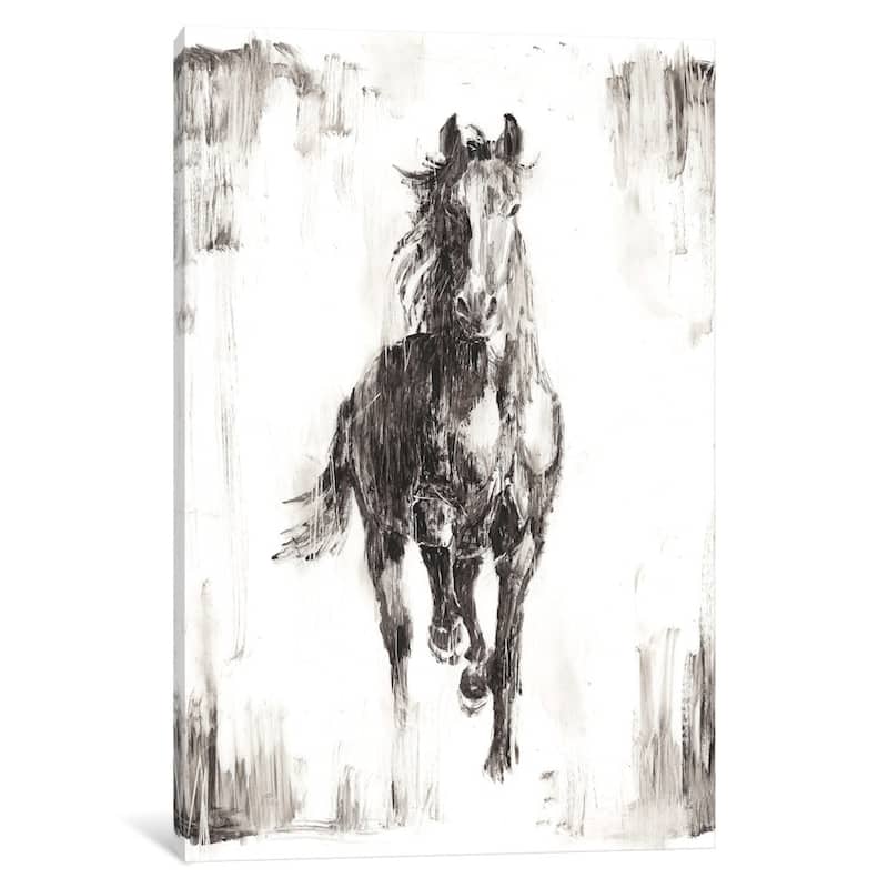 iCanvas "Rustic Black Stallion I" by Ethan Harper