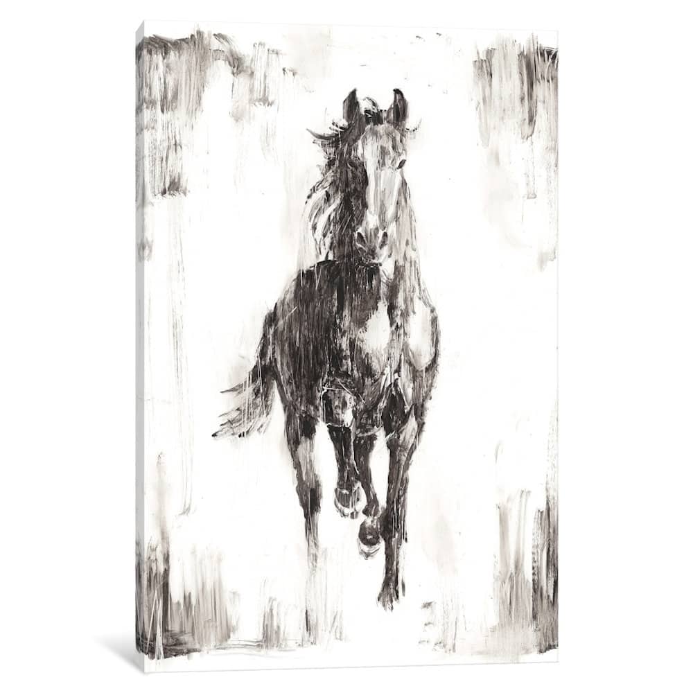 iCanvas "Rustic Black Stallion I" by Ethan Harper