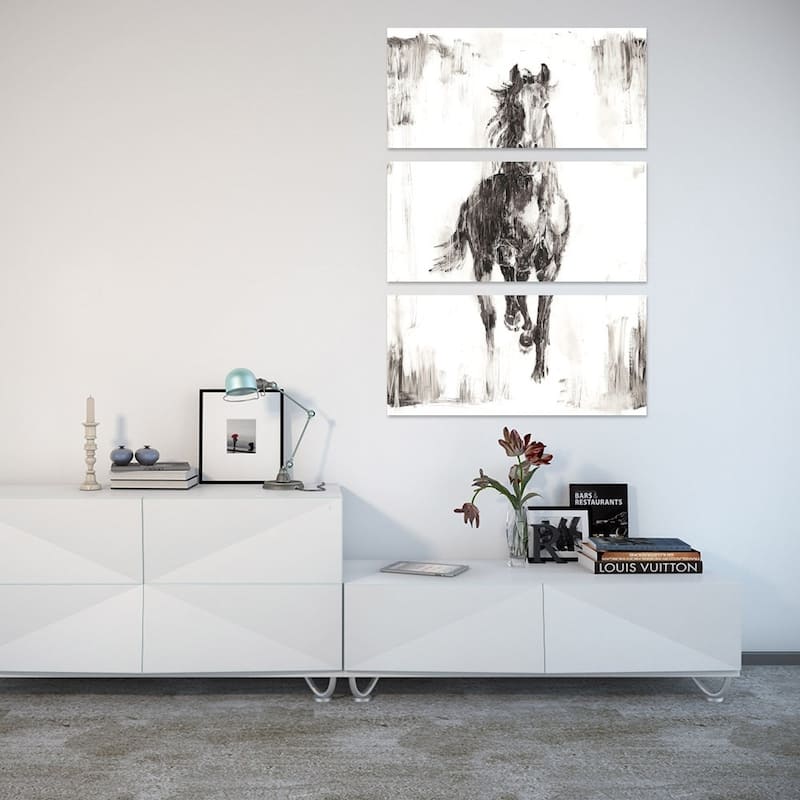 iCanvas "Rustic Black Stallion I" by Ethan Harper