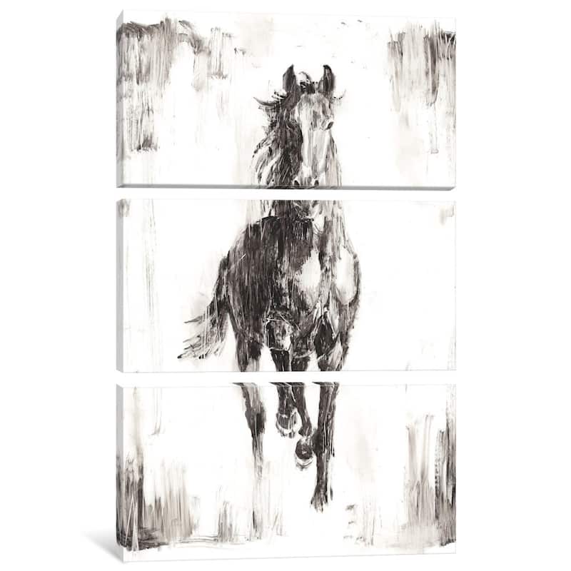 iCanvas "Rustic Black Stallion I" by Ethan Harper