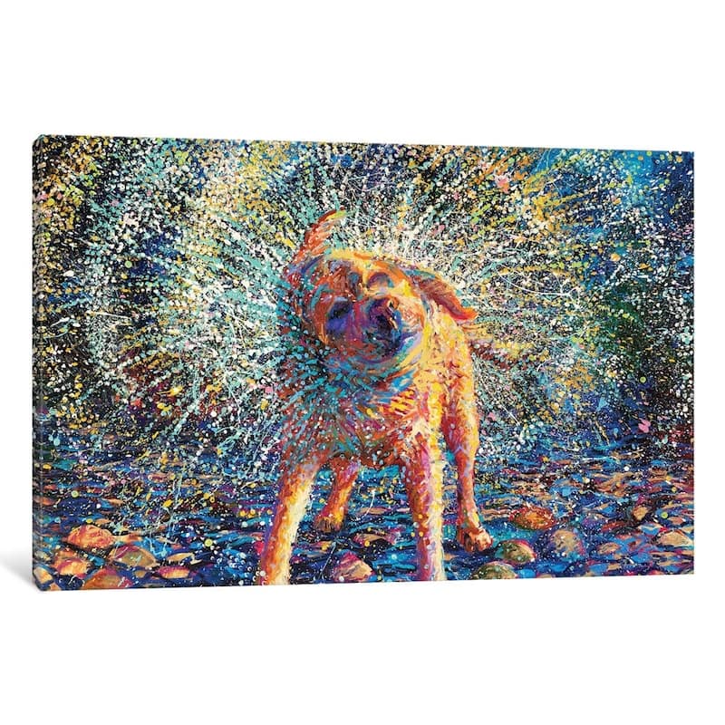 iCanvas "Secouer" by Iris Scott