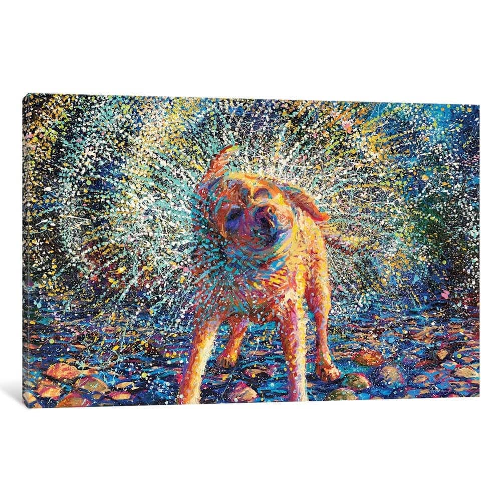 iCanvas "Secouer" by Iris Scott