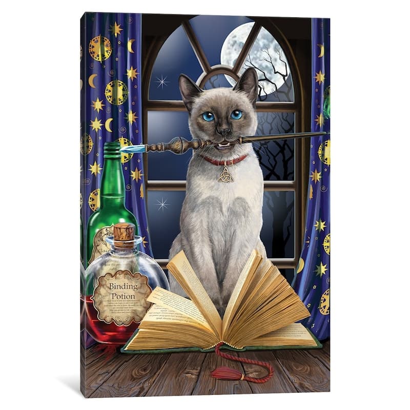 iCanvas "Hocus Pocus" by Lisa Parker