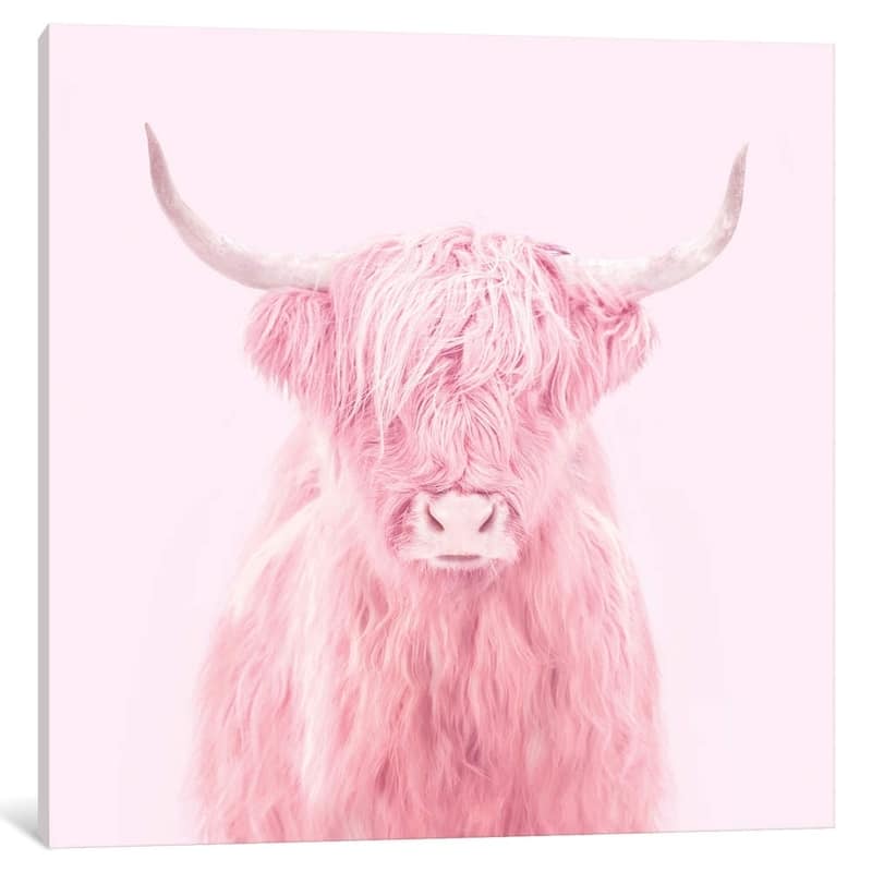 iCanvas "Highland Cow" by Paul Fuentes
