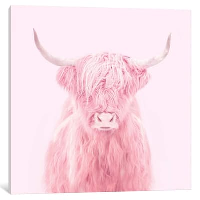 iCanvas "Highland Cow" by Paul Fuentes