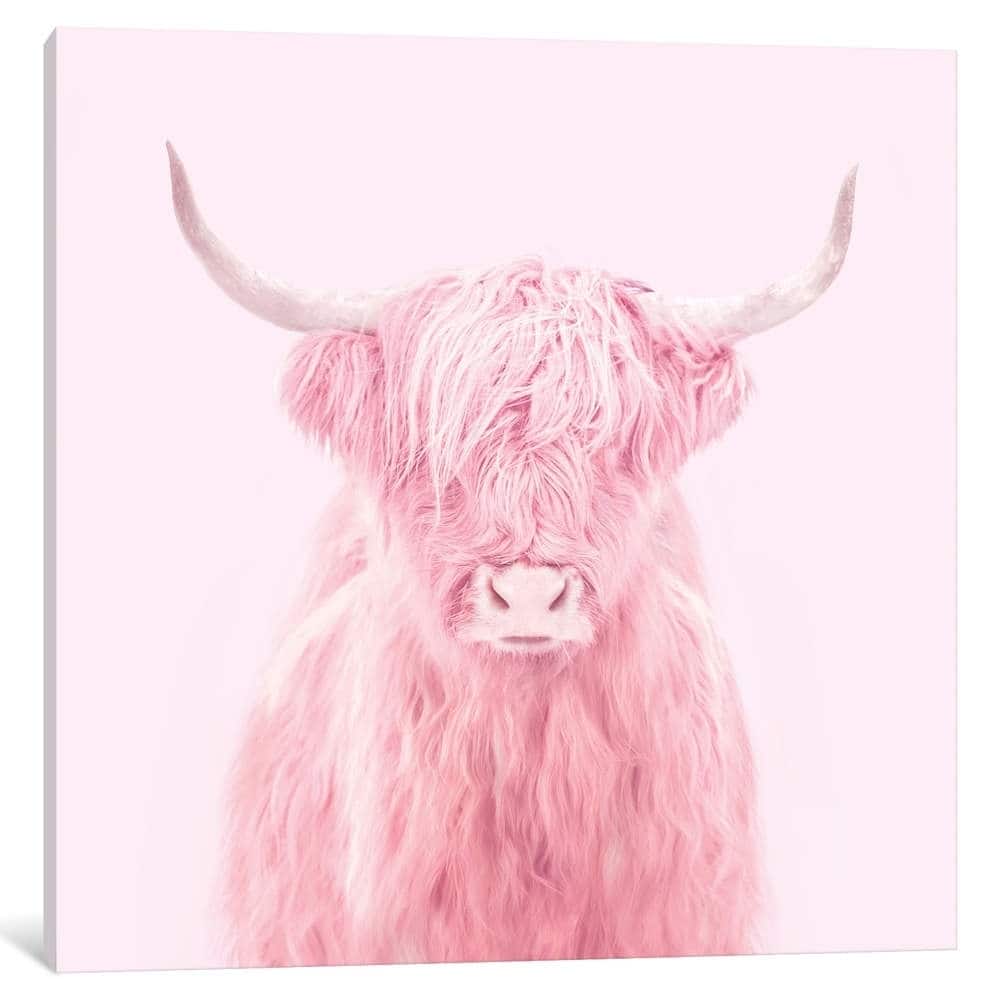iCanvas "Highland Cow" by Paul Fuentes