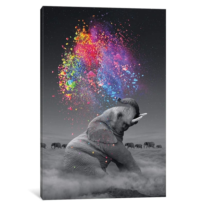 iCanvas "Elephant - Color Explosion" by Soaring Anchor Designs