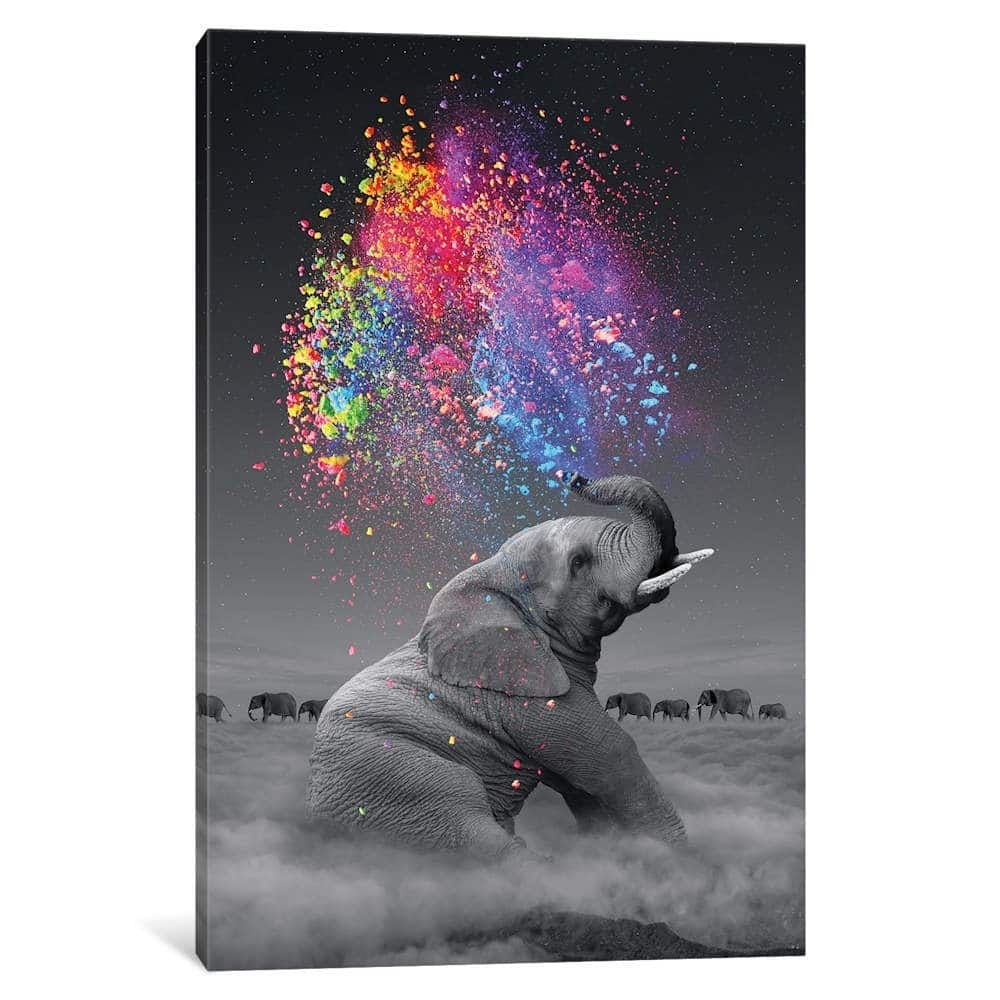 iCanvas "Elephant - Color Explosion" by Soaring Anchor Designs