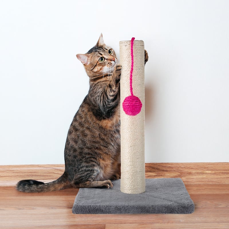 Cat Scratching Post - Scratcher with Sisal Rope and Paw Shaped Base, Hanging Toy for Interactive Play by PETMAKER (17 Inch)