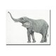 preview thumbnail 2 of 1, Porch & Den Dusty Modern Grey Elephant Portrait Gallery Wrapped Canvas