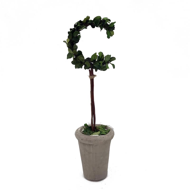 Modern Home 13" Real Preserved Boxwood Monogram Letters w/Terra Cotta Pot