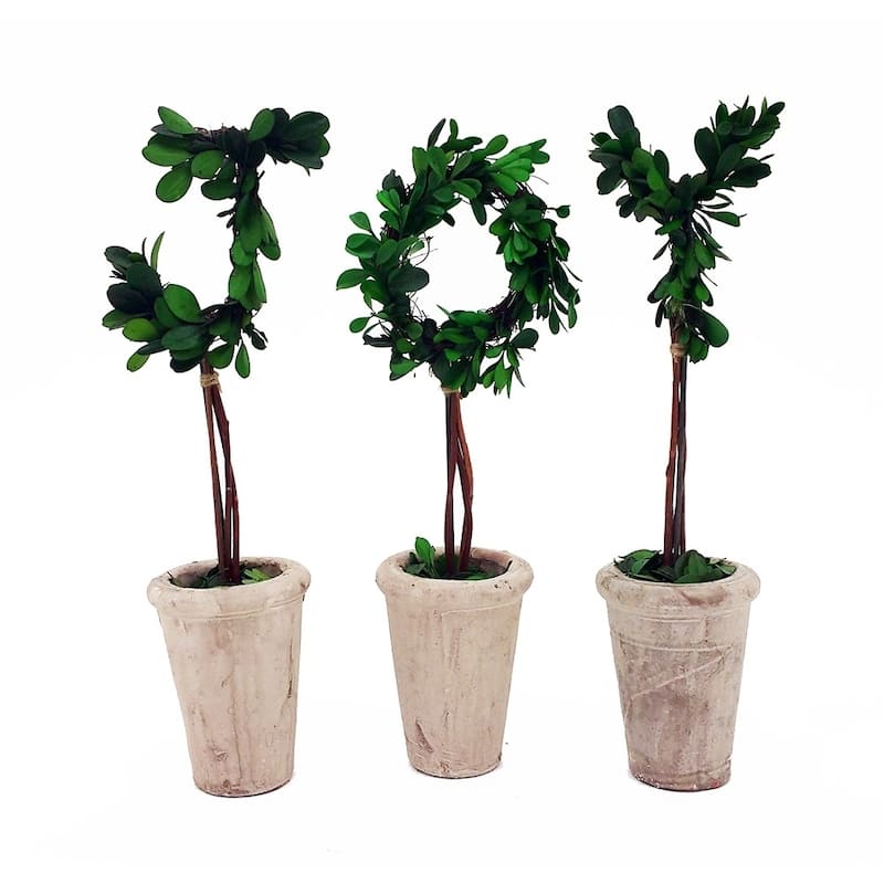 Modern Home 13" Real Preserved Boxwood Monogram Letters w/Terra Cotta Pot