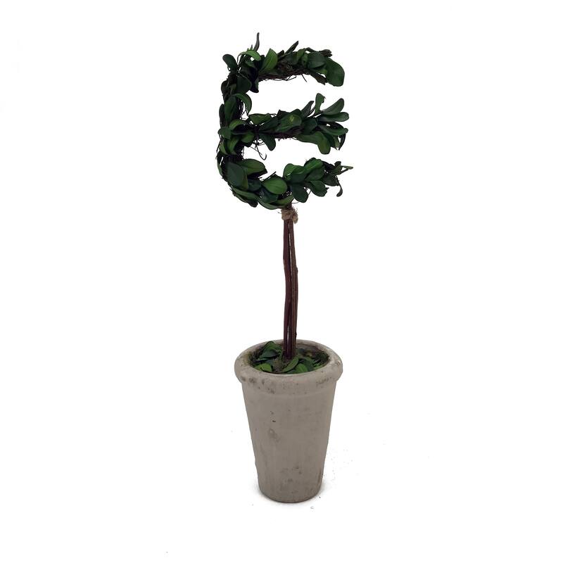 Modern Home 13" Real Preserved Boxwood Monogram Letters w/Terra Cotta Pot