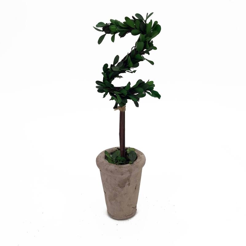 Modern Home 13" Real Preserved Boxwood Monogram Letters w/Terra Cotta Pot - z