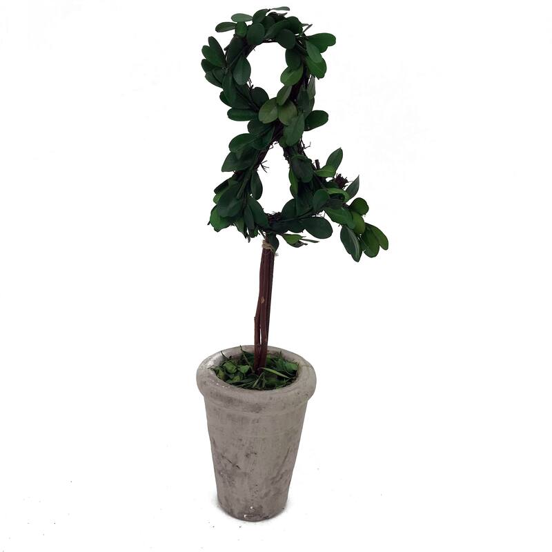 Modern Home 13" Real Preserved Boxwood Monogram Letters w/Terra Cotta Pot