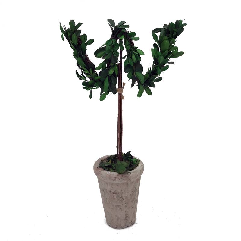 Modern Home 13" Real Preserved Boxwood Monogram Letters w/Terra Cotta Pot