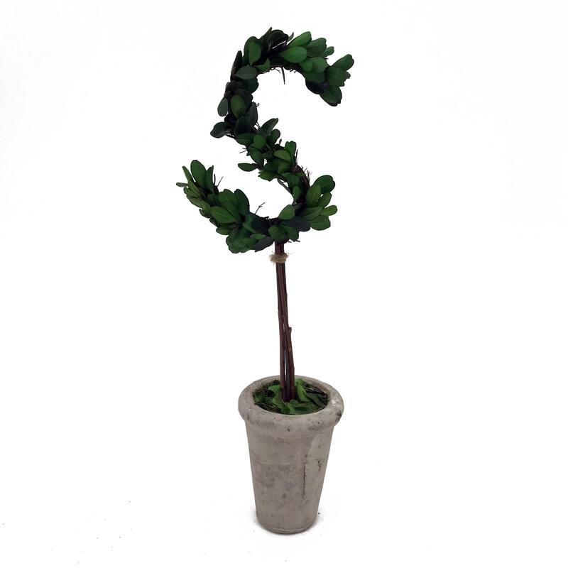 Modern Home 13" Real Preserved Boxwood Monogram Letters w/Terra Cotta Pot - s