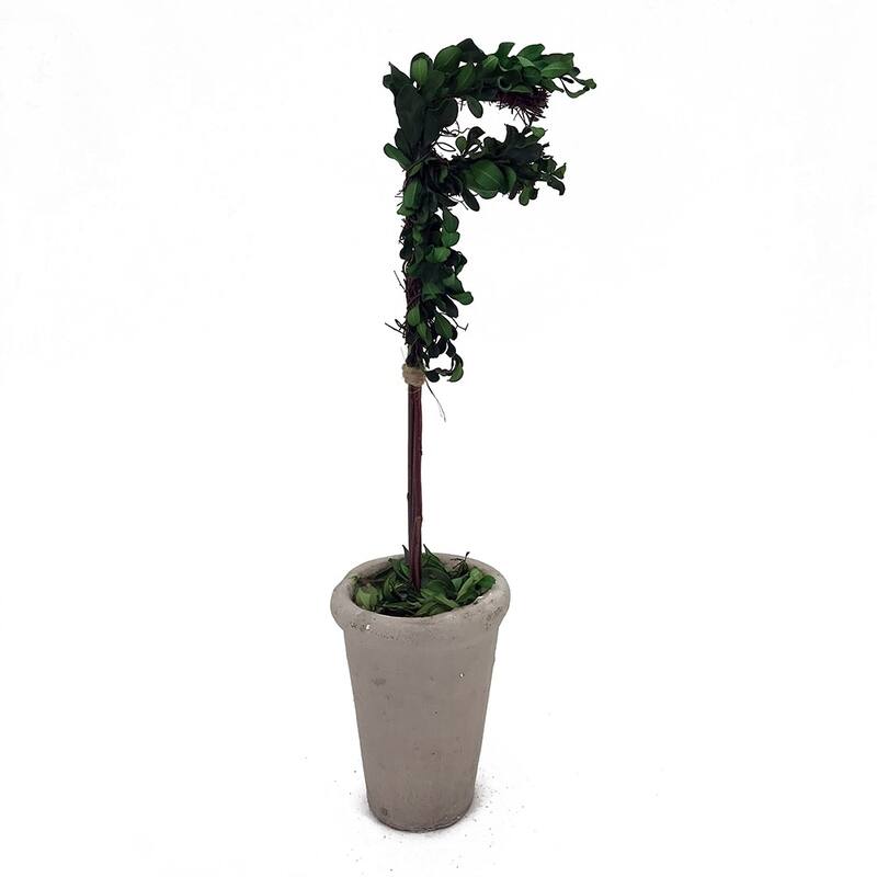 Modern Home 13" Real Preserved Boxwood Monogram Letters w/Terra Cotta Pot - f