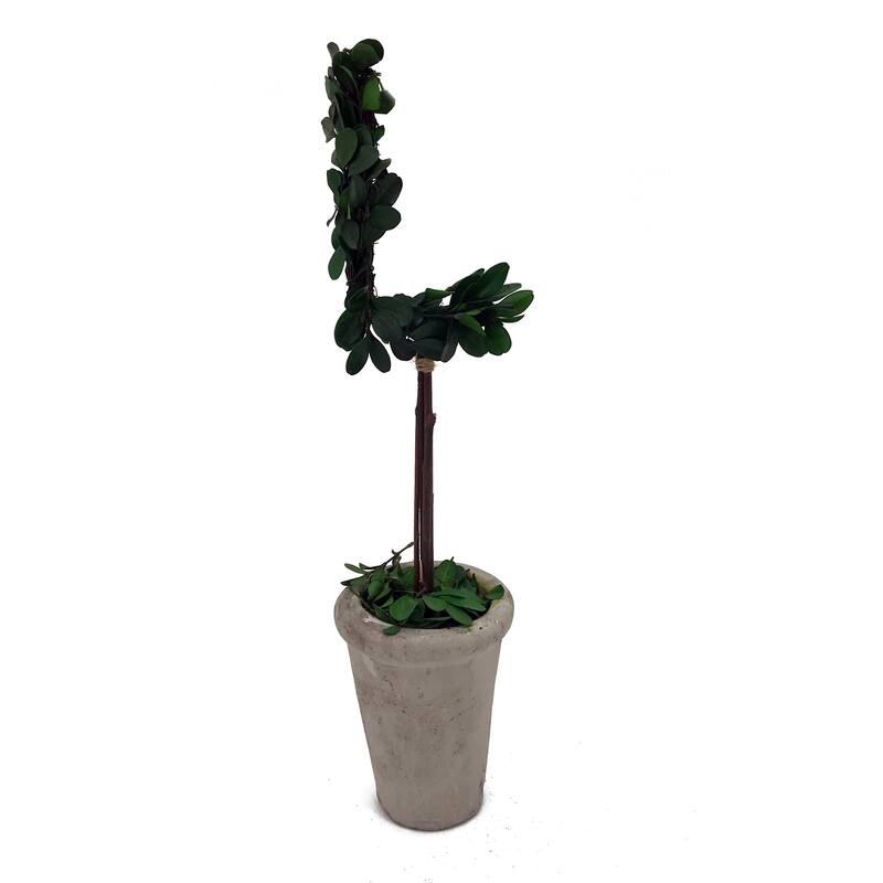 Modern Home 13" Real Preserved Boxwood Monogram Letters w/Terra Cotta Pot