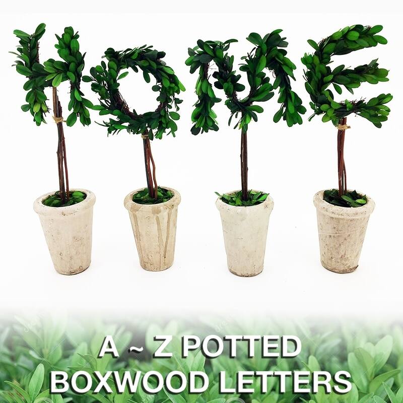 Modern Home 13" Real Preserved Boxwood Monogram Letters w/Terra Cotta Pot