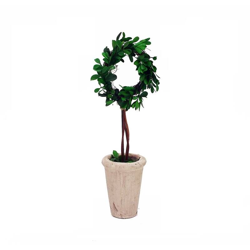 Modern Home 13" Real Preserved Boxwood Monogram Letters w/Terra Cotta Pot