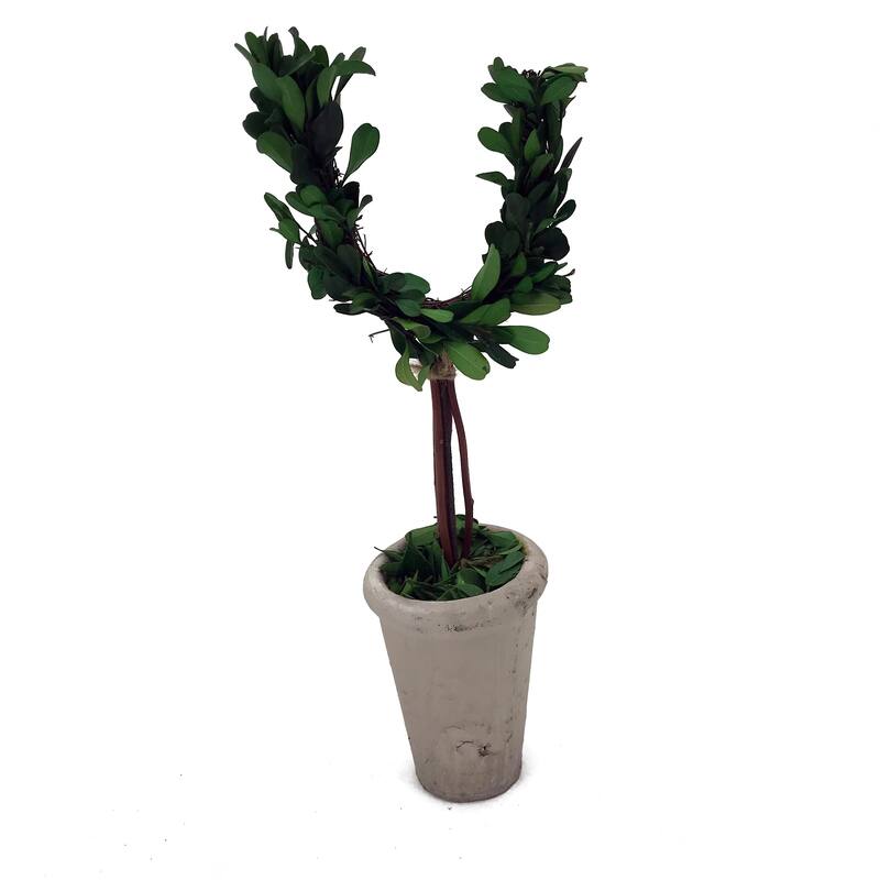 Modern Home 13" Real Preserved Boxwood Monogram Letters w/Terra Cotta Pot - u