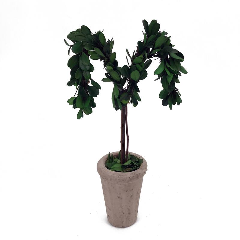 Modern Home 13" Real Preserved Boxwood Monogram Letters w/Terra Cotta Pot - m