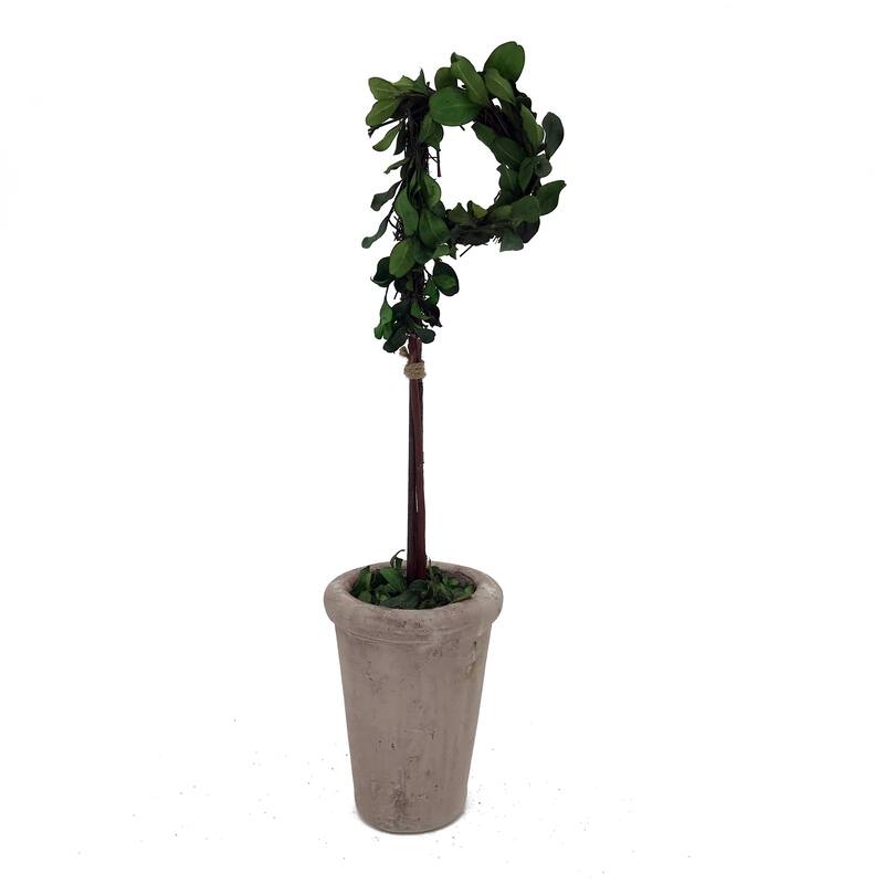 Modern Home 13" Real Preserved Boxwood Monogram Letters w/Terra Cotta Pot - p