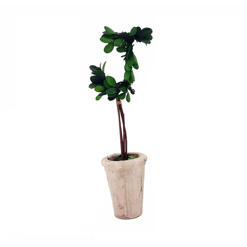 Modern Home 13" Real Preserved Boxwood Monogram Letters w/Terra Cotta Pot