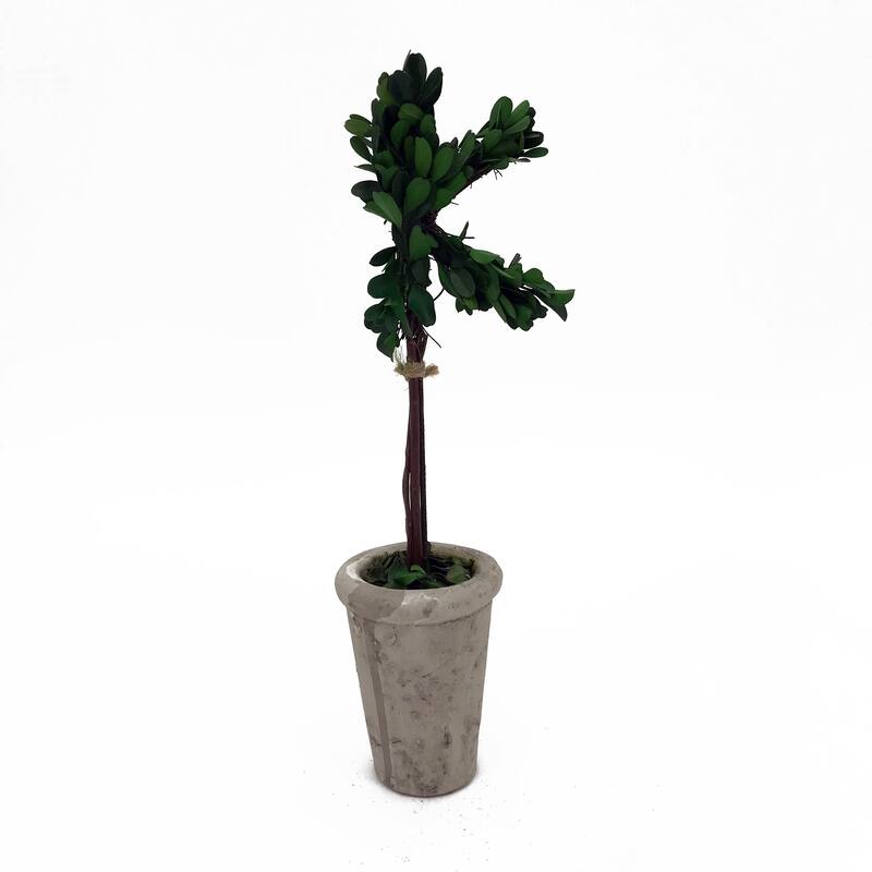 Modern Home 13" Real Preserved Boxwood Monogram Letters w/Terra Cotta Pot - k