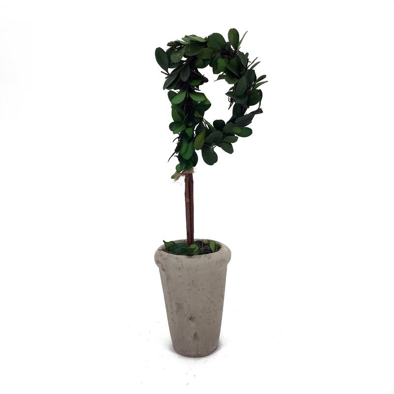 Modern Home 13" Real Preserved Boxwood Monogram Letters w/Terra Cotta Pot - D