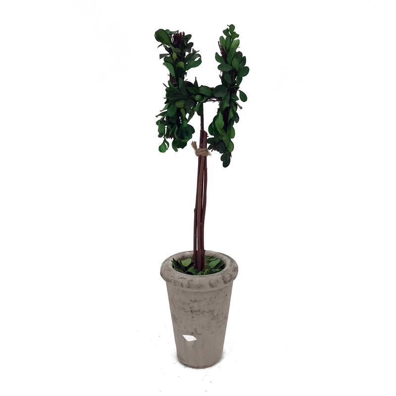 Modern Home 13" Real Preserved Boxwood Monogram Letters w/Terra Cotta Pot
