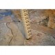 Havenside Home Coal Bay Side Table - Thumbnail 5